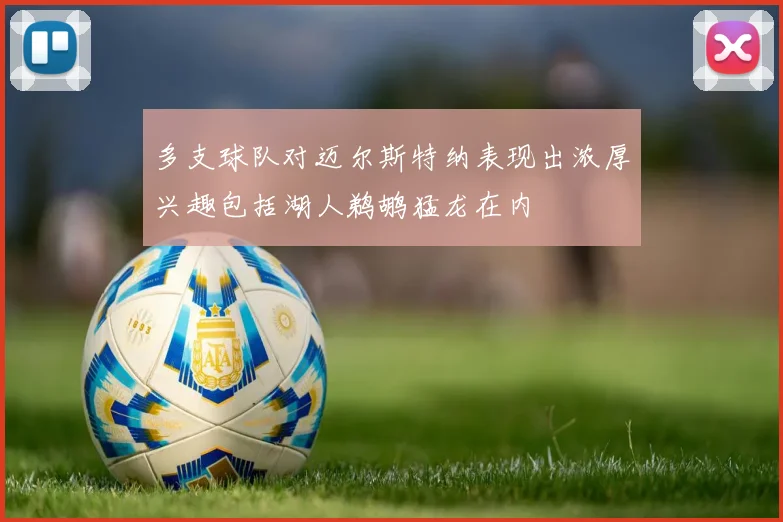 多支球队对迈尔斯特纳表现出浓厚兴趣包括湖人鹈鹕猛龙在内