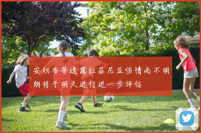 安切洛蒂透露拉菲尼亚伤情尚不明朗将于明天进行进一步评估