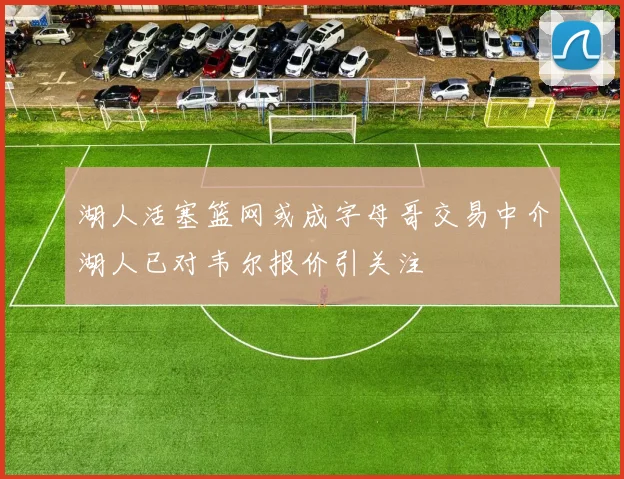 湖人活塞篮网或成字母哥交易中介湖人已对韦尔报价引关注